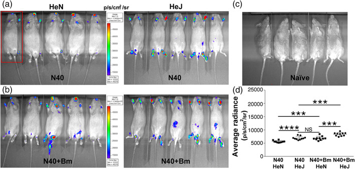 FIGURE 3