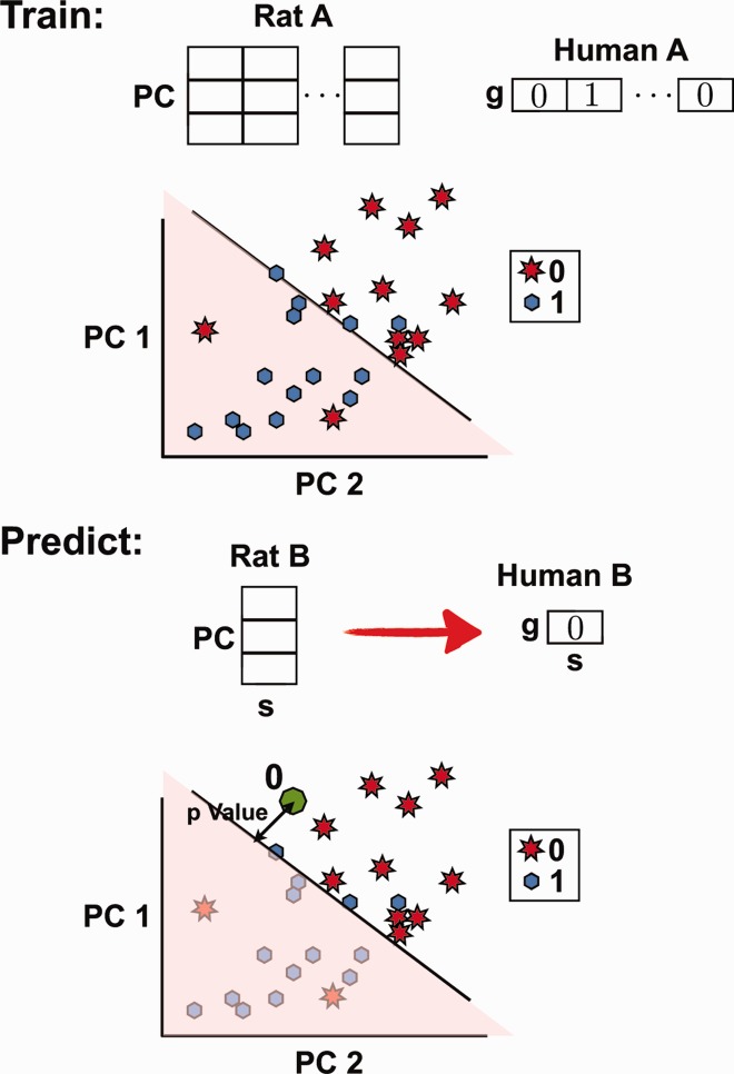 Fig. 8.