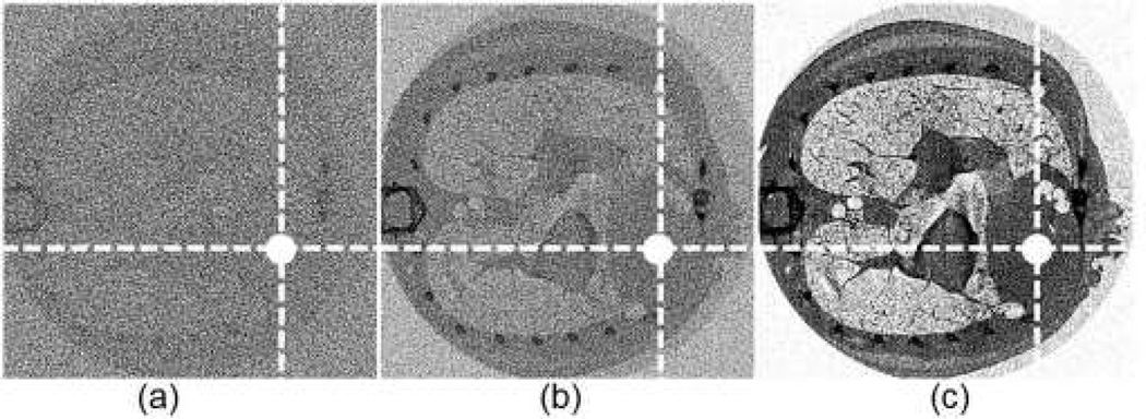 Fig. 10