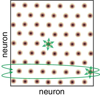 Figure 1—figure supplement 2.