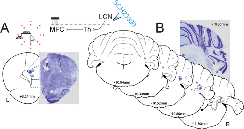 Fig 2: