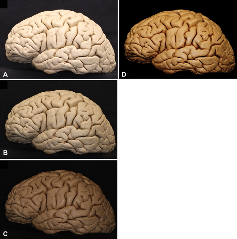 Fig. 5