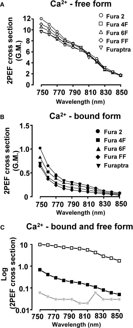 FIGURE 3