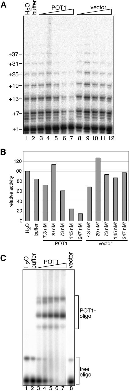 FIG.2.