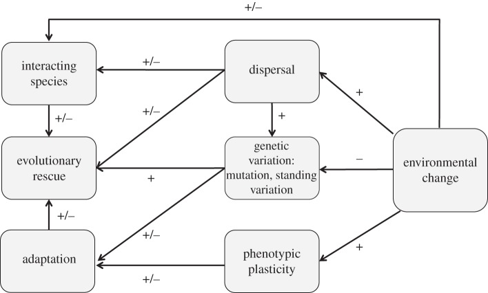 Figure 1.