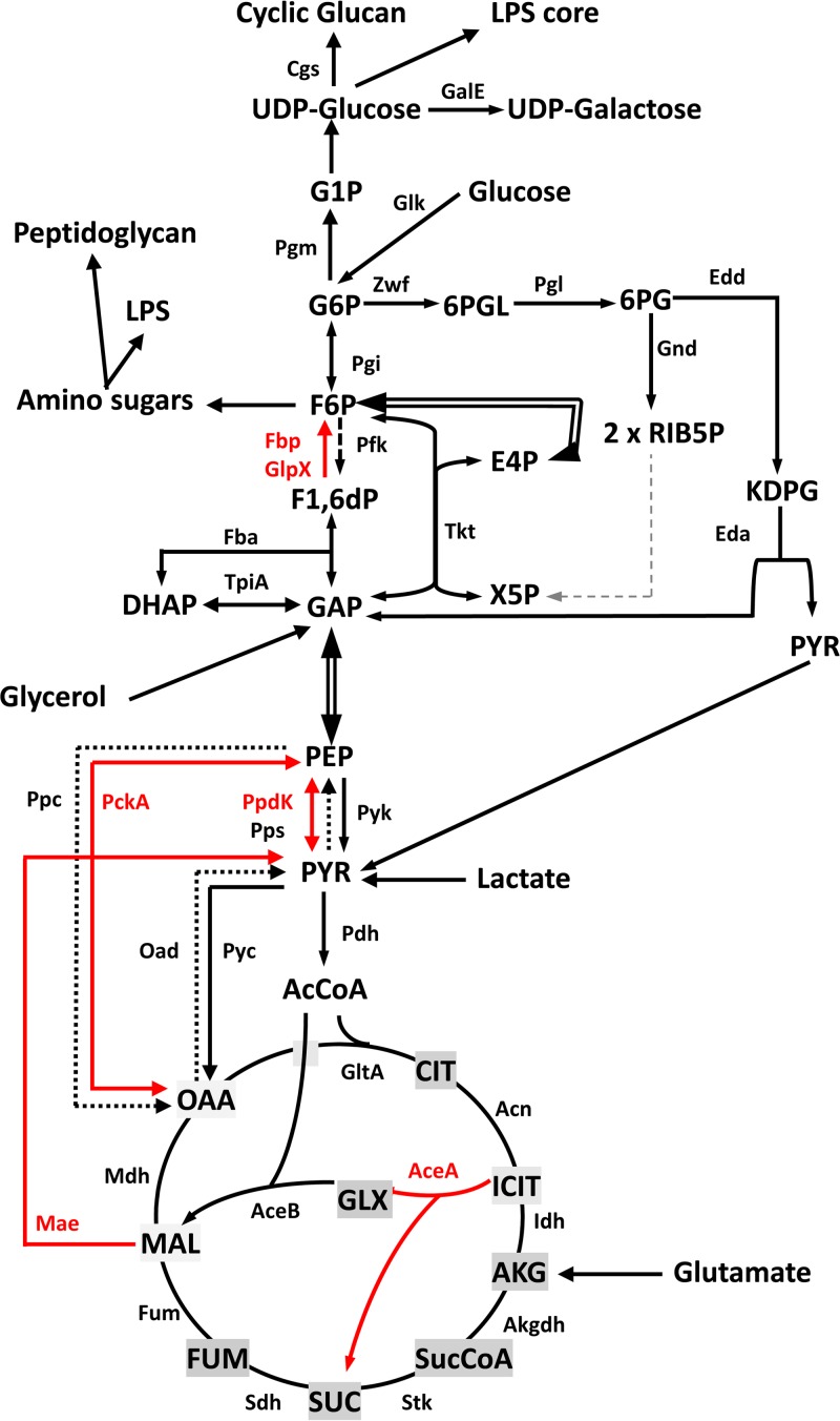 FIG 1