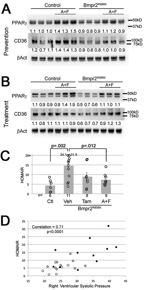 Figure 4 –