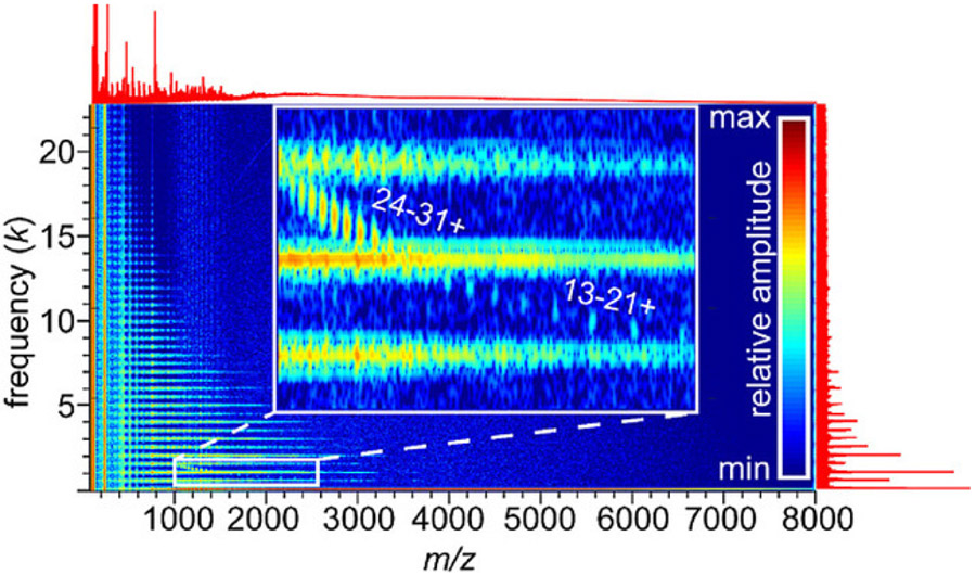 Figure 24.