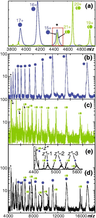 Figure 19.