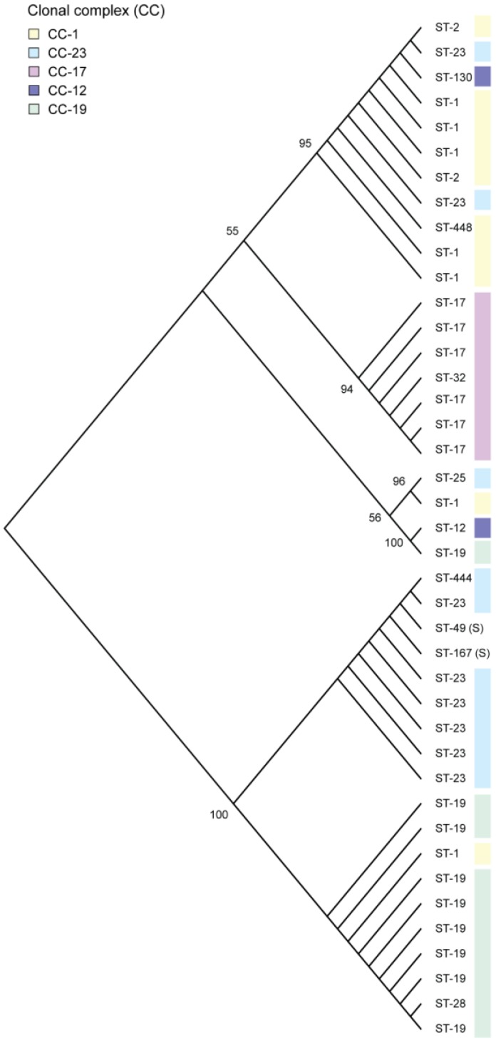 Figure 1