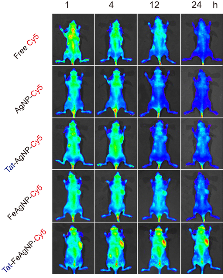 Fig. 7