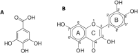 Fig. 8