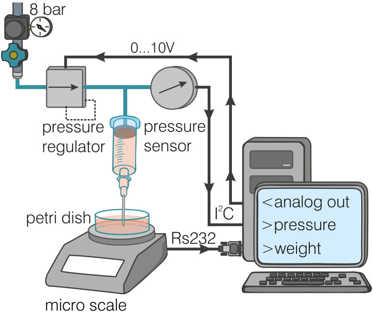 Fig 5