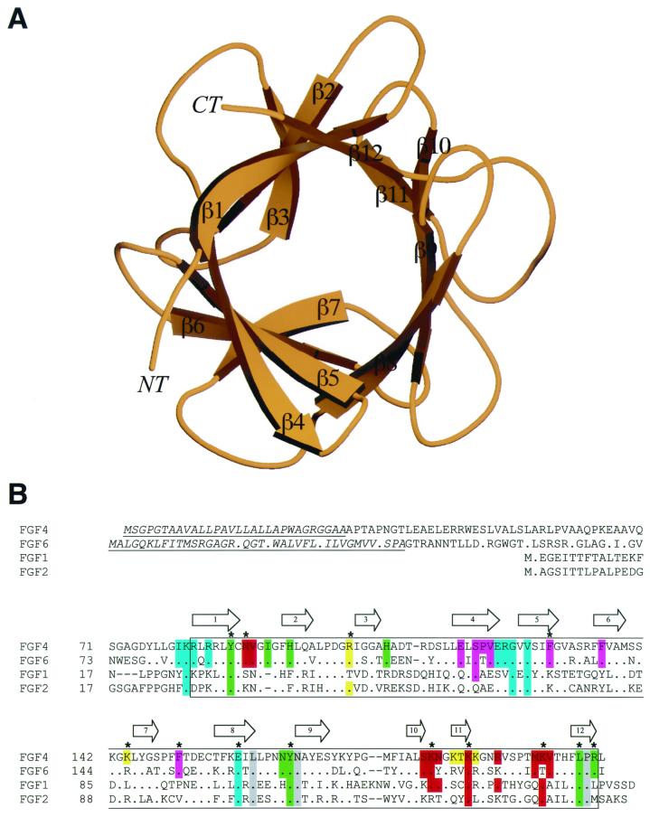 FIG. 1