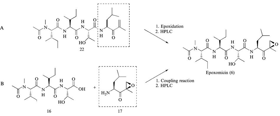 FIG. 6