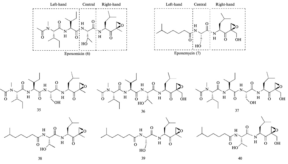 FIG. 11