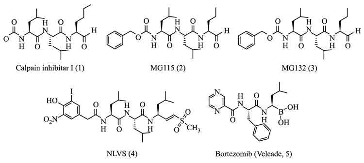 FIG. 1