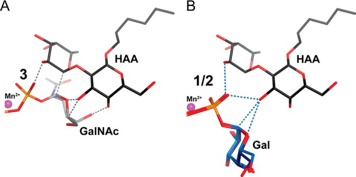 FIGURE 7.