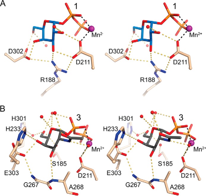 FIGURE 4.