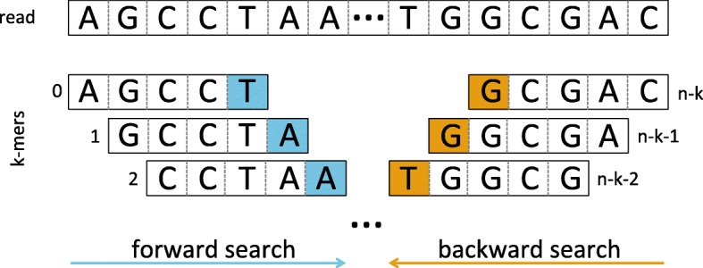 Fig. 2