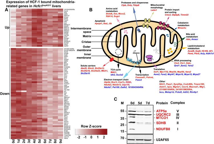 FIG 6