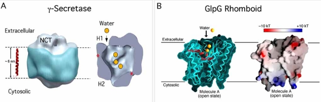 Fig. (4)