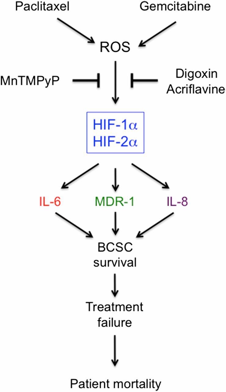 Fig. 11.