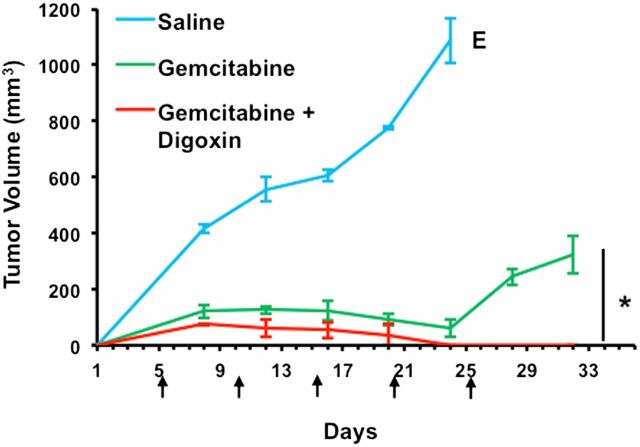 Fig. 9.