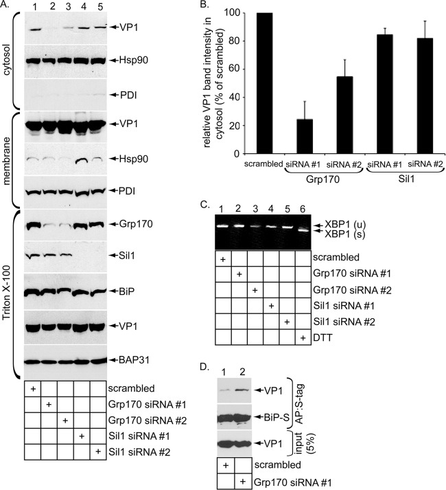 FIG 3