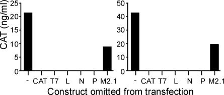 FIG. 4.