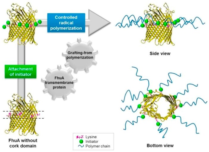 Figure 20