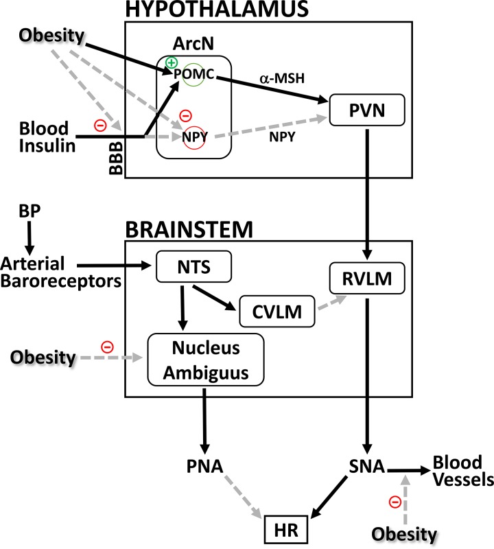 Fig. 10.