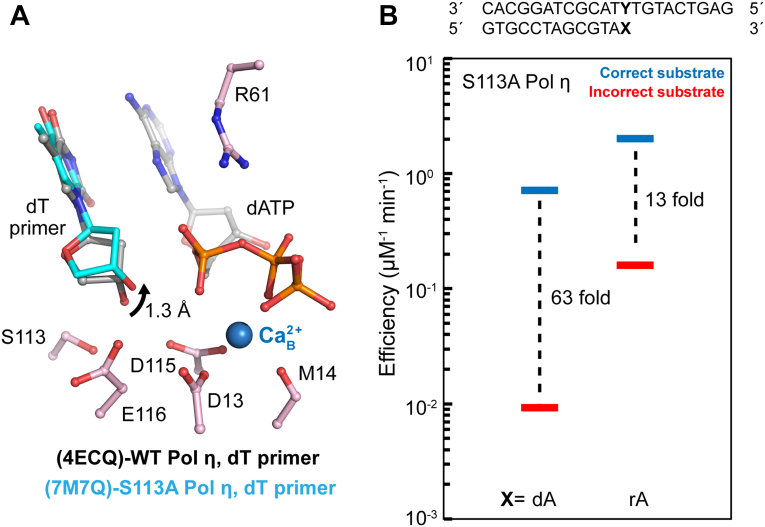 Figure 3