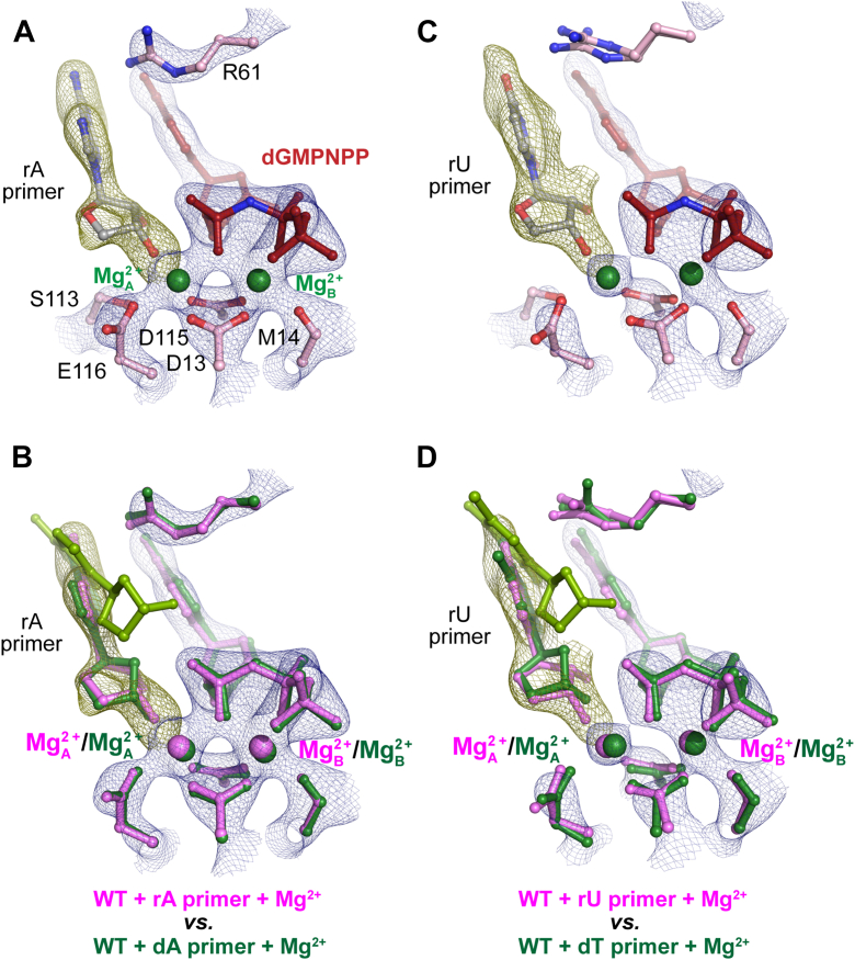 Figure 5