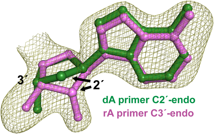 Figure 6