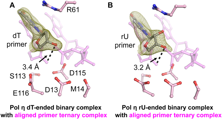 Figure 4