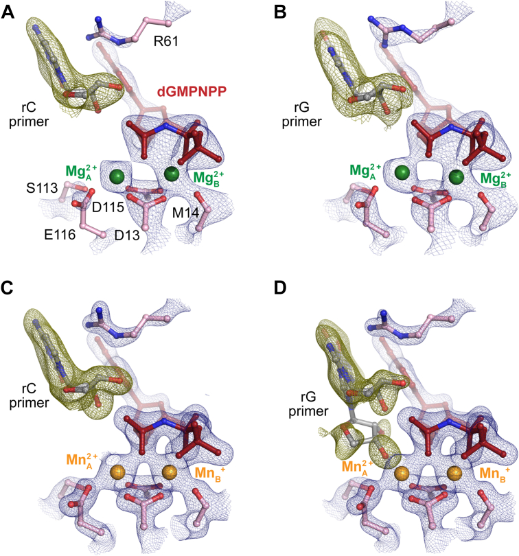 Figure 7