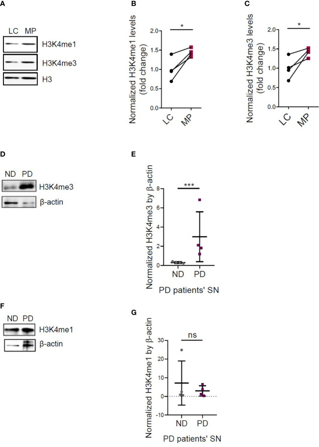 Figure 5