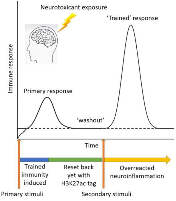 Figure 6