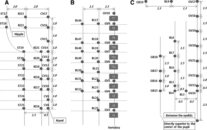 FIG. 2.