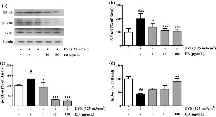 Fig. 6