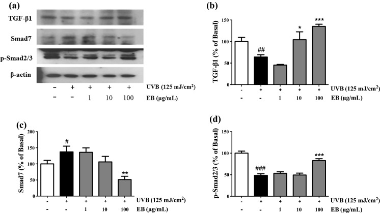 Fig. 7