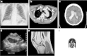 Fig. 7