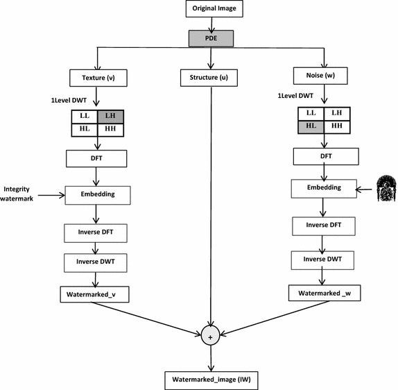 Fig. 3