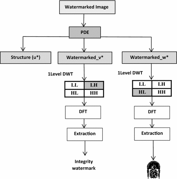 Fig. 4