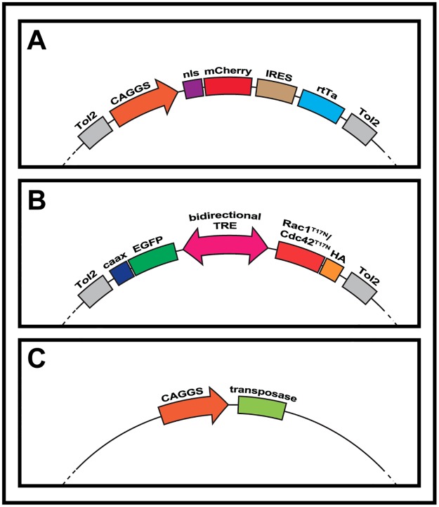 Fig 1