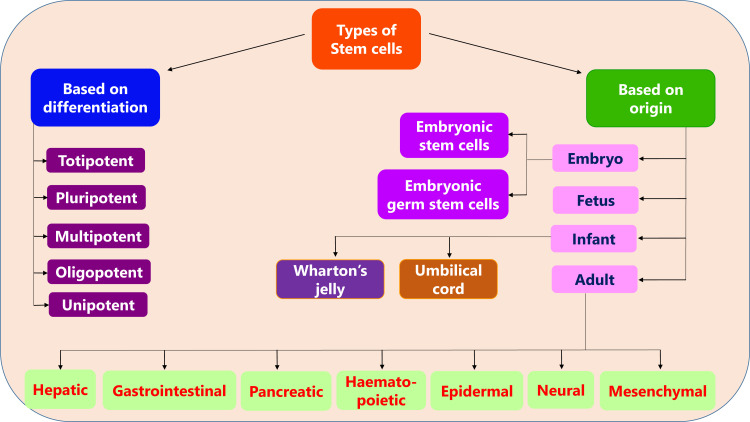 Fig. (1)