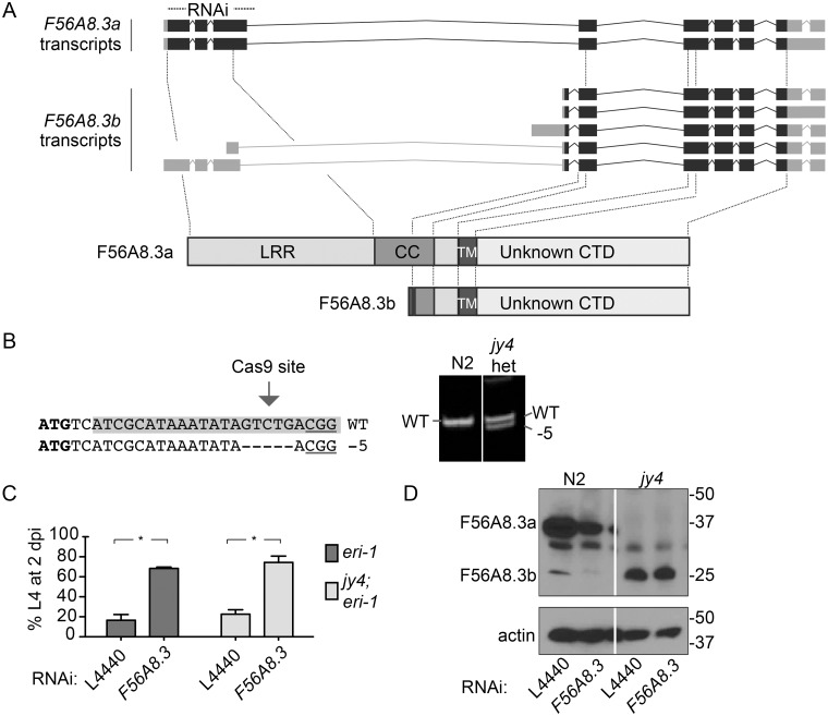 Fig 4