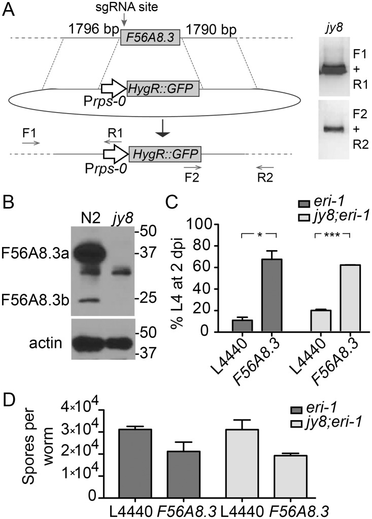 Fig 5