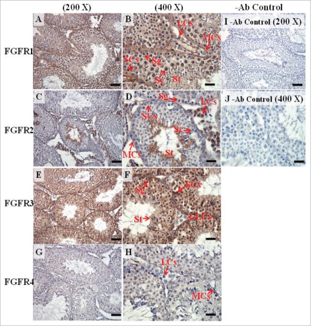 FIGURE 12.